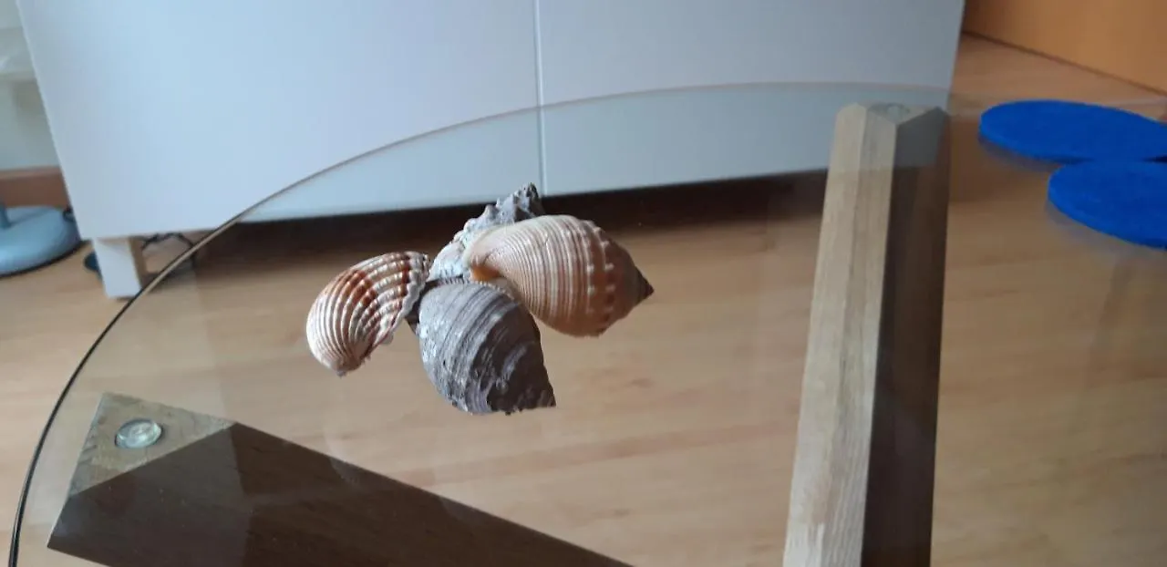 Apartmán El Campanar Palamós 0*,  Španělsko